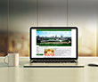 project preview image Saitesales site catalog of sweets