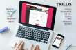 project preview image Trillo: Adaptive/Responsive HTML/CSS